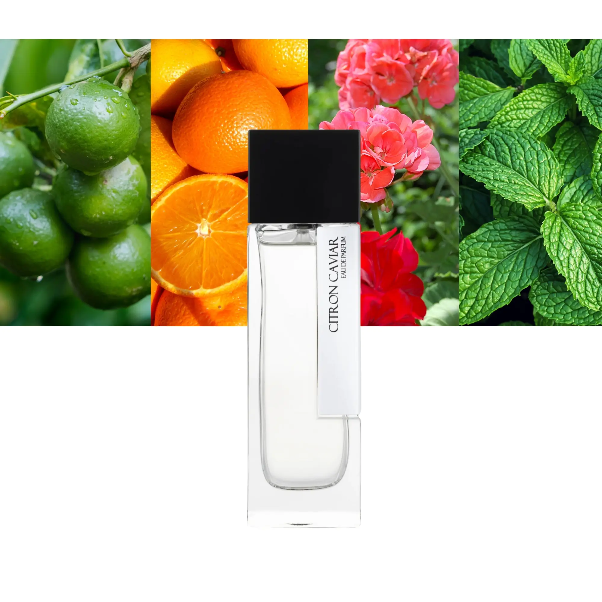 LM Parfums Citron Caviar